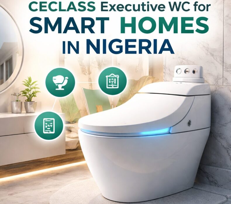 Why CECLASS Executive WC Is the New Choice for Smart Homes