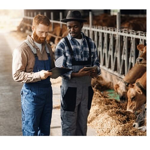 Technology in Modern Animal Farming