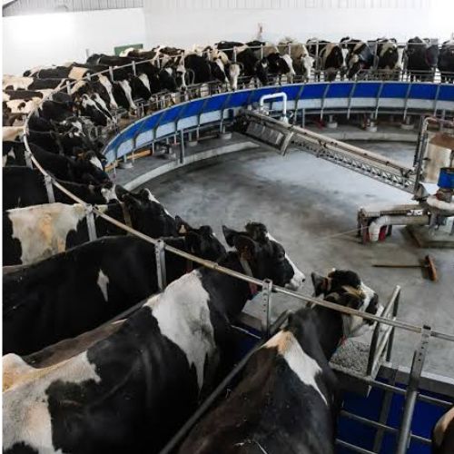 Essential Animal Farming Equipment