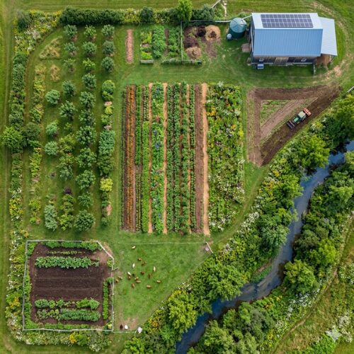 Eco-Sustainability in Agriculture