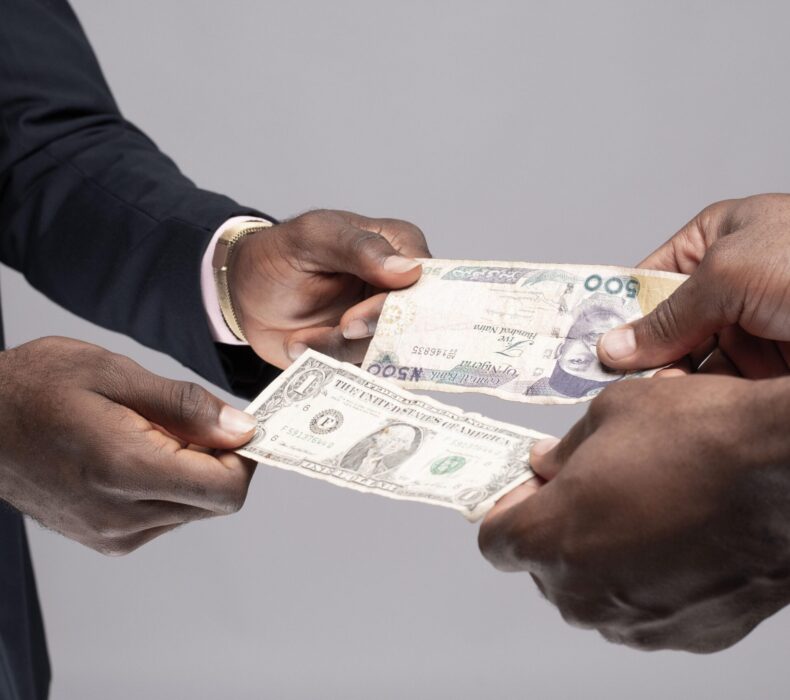 What Is a Domiciliary Account and How Does It Work? (2026 New)