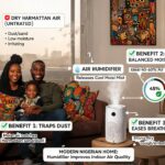 How air humidifiers improve indoor air quality in Nigerian homes with modern living room air moisture control
